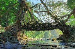 Làng sạch nhất châu Á nằm ở Ấn Độ