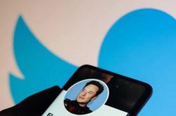Dấu tick xanh Twitter trở lại, người dùng iPhone trả phí đắt hơn