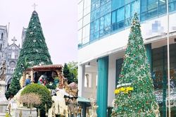 Nhìn gần những cây thông Noel 'khổng lồ' đón Giáng sinh tại Hà Nội