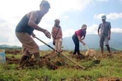 Loài 'lúc nhúc' đáng sợ, tốt cho đàn ông, dân ra ruộng đào kiếm nửa triệu/ngày