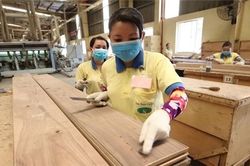 'Mùa đông xuất khẩu' của Việt Nam đã bắt đầu?