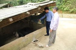 Đảng bộ xã Tòng Sành lãnh đạo Nhân dân phát triển kinh tế