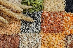 Nhân loại có đủ tài nguyên cho tương lai?