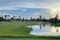 Hoãn họp báo vụ golfer đánh nữ caddie nhập viện