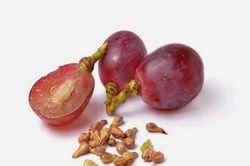 Ăn nho bỏ hạt - sai lầm nghiêm trọng đối với sức khỏe