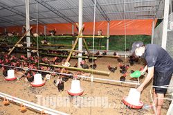Người dân vùng cao chuẩn bị hàng nông sản phục vụ Tết