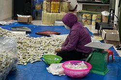 Phát hiện cơ sở sản xuất bánh gạo giả mạo nhãn hiệu Vetrue của Nhật Bản