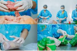 Tứ Phương - Công ty sản xuất giò bê lớn 'tốp đầu' Nghệ An