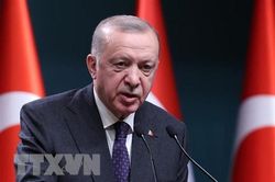 Thổ Nhĩ Kỳ ủng hộ dự án xây dựng đường ống dẫn khí đốt Turkmenistan