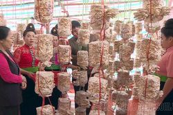 Đổi mới công tác đào tạo nghề lao động nông thôn