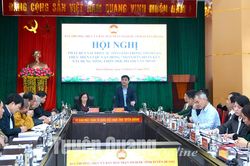 Phát huy vai trò các tôn giáo trong xây dựng nông thôn mới