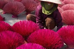 Những đóa tăm hương ở Quảng Phú Cầu 'bung nở' đón Tết