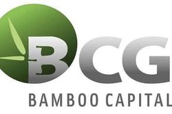 Bamboo Capital và FiinRatings dừng xếp hạng tín nhiệm do hết hợp đồng