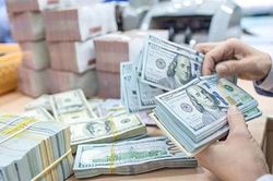 Ngân hàng Nhà nước bắt đầu can thiệp mua ngoại tệ, bơm ròng tiền đồng
