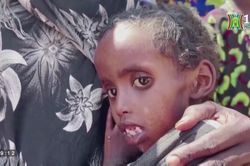 UNICEF kêu gọi viện trợ cho Trung Đông, Bắc Phi