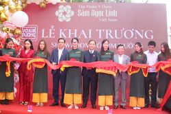Sứ mệnh đưa sâm ngọc linh 'Quốc bảo Việt Nam' tới mọi nhà, vươn tầm thế giới