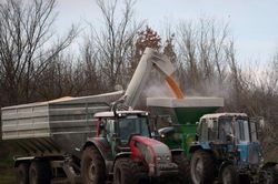 Nông dân Ukraine loay hoay thu hoạch ngô giữa chiến sự leo thang
