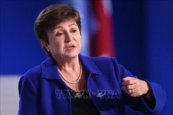IMF lạc quan về triển vọng giải quyết nợ công toàn cầu