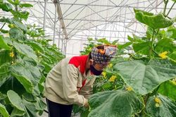 Hỗ trợ doanh nghiệp, hợp tác xã chuyển đổi số