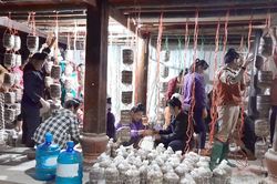 Hỗ trợ nông dân phát triển kinh tế