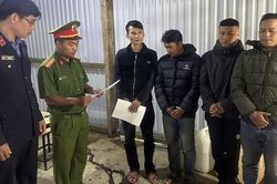 Phá chuyên án cá độ bóng đá tại 'thủ phủ' sâm Ngọc Linh