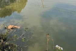 Tìm nhân thân nam thanh niên tử vong tại ao cá ở Bắc Giang
