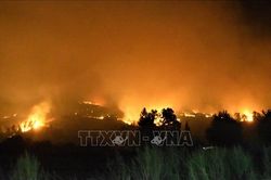 Thủ đô của Chile ban bố tình trạng khẩn cấp do cháy rừng
