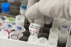 CDC Mỹ: Thông tin sai lệch về vaccine là mối đe dọa sức khỏe cộng đồng