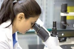 Tìm thấy hoạt chất chống ung thư từ thực vật