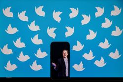 Tỷ phú Elon Musk thăm dò ý kiến về khả năng từ chức CEO Twitter