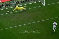 WORLD CUP 2022: Giải đấu có nhiều bàn thắng nhất trong lịch sử