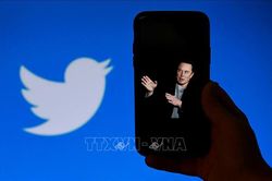 Phần lớn người dùng Twitter muốn tỷ phủ Elon Musk từ bỏ vai trò lãnh đạo