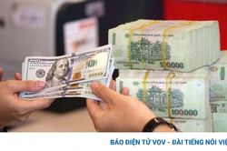 Chính sách tỷ giá linh hoạt giúp kinh tế Việt Nam giải tỏa áp lực