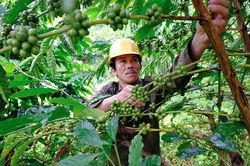 Đam Rông: Phấn đấu sớm về đích nông thôn mới