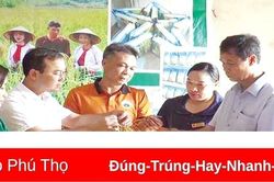 Phát triển sản phẩm OCOP khu vực miền núi