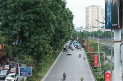 Bài 2: Quy hoạch và thực thi phải chặt chẽ khoa học