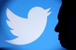 Elon Musk mở cuộc thăm dò về khả năng từ chức CEO Twitter