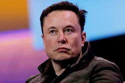 Tỷ phú Elon Musk thăm dò về việc từ chức CEO Twitter