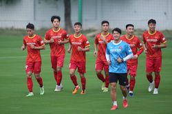Tuyển Việt Nam cần 'một cái đầu lạnh' để trở lại ngôi vô địch AFF Cup