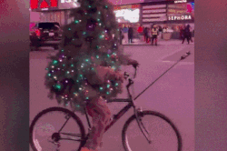 Chàng trai hóa thành cây thông Noel, đạp xe quanh New York