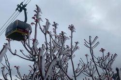Dự báo thời tiết ngày 22/12: Vùng núi cao Bắc Bộ có khả năng xảy ra băng giá, sương muối