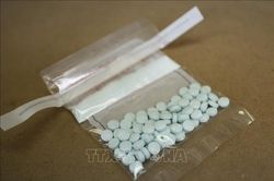 Mỹ thu giữ một lượng kỷ lục thuốc giảm đau fentanyl