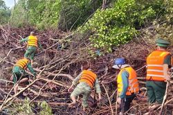 Khẩn trương tìm kiếm người bị sóng đánh rơi xuống biển