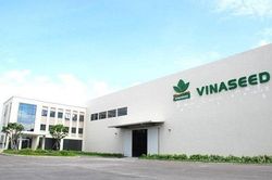 Sai phạm về thuế, Vinaseed bị xử phạt gần nửa tỷ đồng