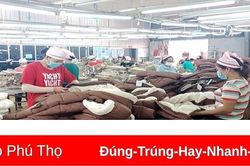 Doanh nghiệp nỗ lực vượt khó