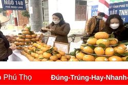 Kết nối, tiêu thụ trên 100 tấn nông sản