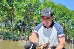 Du khách 'săn' cua Cà Mau bằng chiếc cần câu độc nhất vô nhị