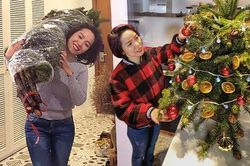 Cô gái Hà Nội 'hô biến' cành thông giá 100 nghìn đồng đẹp 'nức nở' đón Giáng sinh