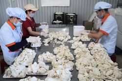 Giải ngân 1,6 tỷ đồng hỗ trợ thanh niên khởi nghiệp
