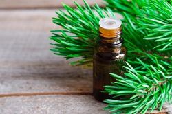Tinh dầu thông có ích cho sức khỏe con người